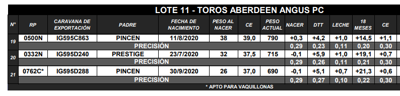 Lote TOROS ANGUS PC