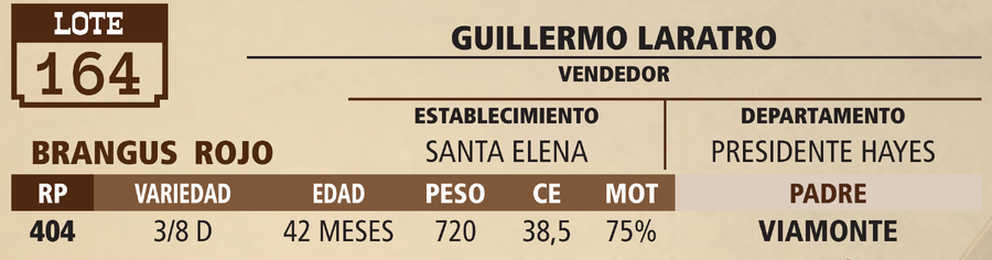 Lote LOTE 164 - VIVO