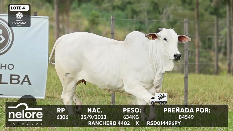 Lote LOTE 4