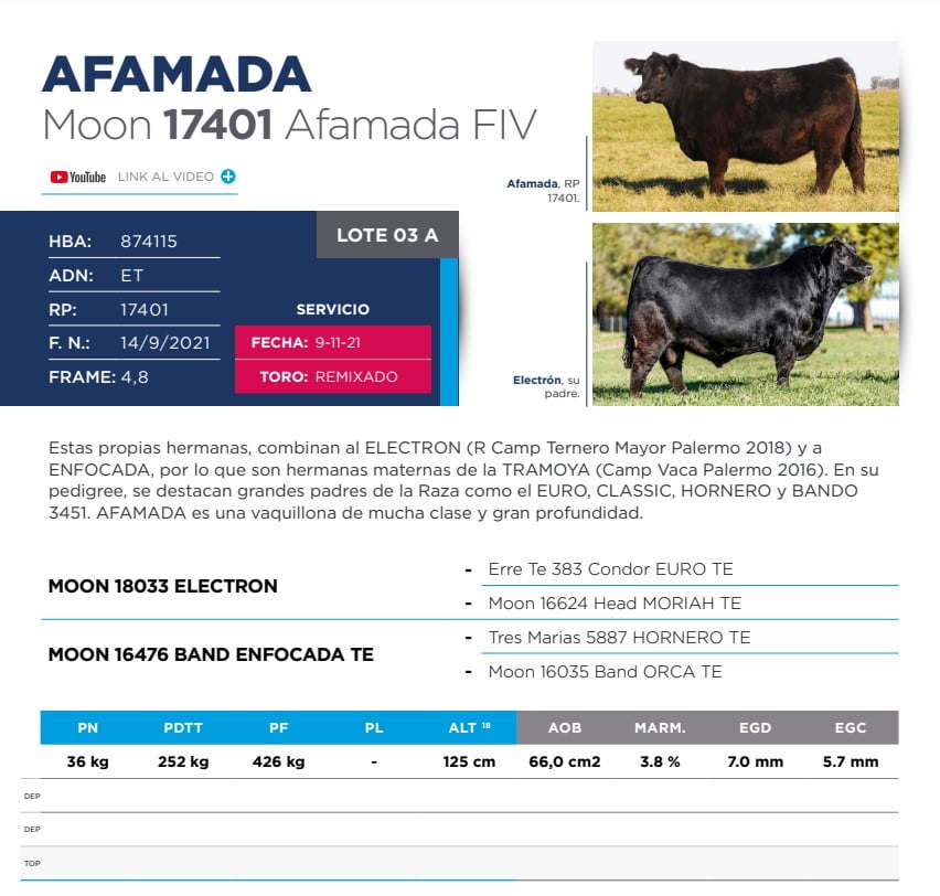 Lote Eleccion de una Vaquillona PP