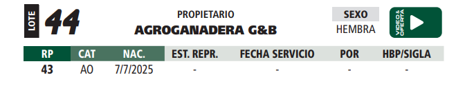 Lote LOTE 44