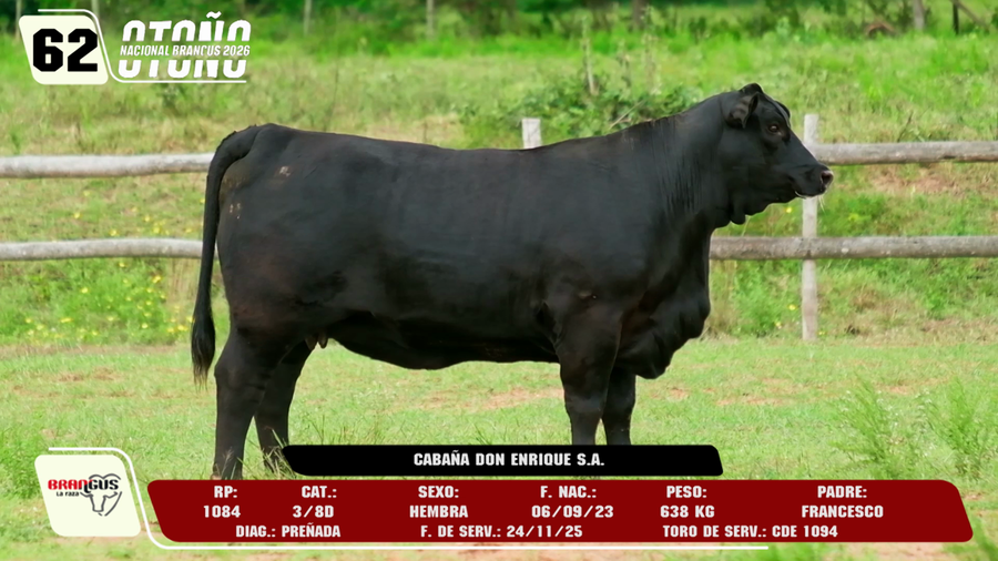 Lote LOTE 62 -DE CAMPO