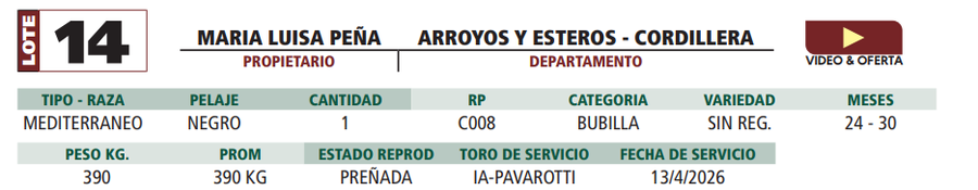 Lote LOTE 14