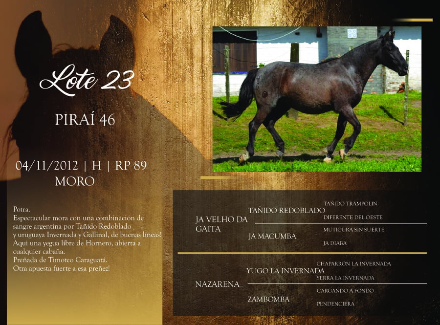 Lote RP 46 - PIRAÍ 46