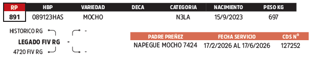 Lote LOTE 71