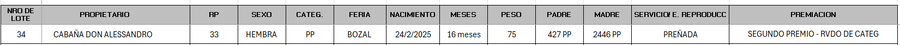Lote LOTE 34 - BOZAL