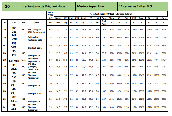 Lote 11 carneros 2 dtes MO