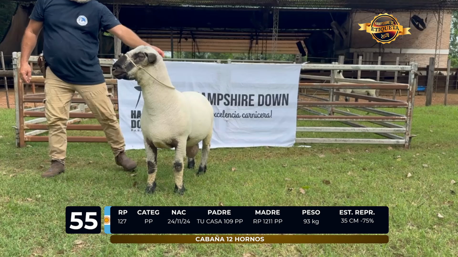 Lote LOTE 55