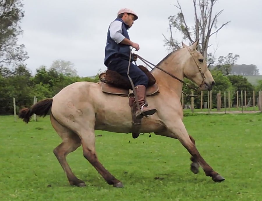 Lote Cabaña "La Pastoril" - RP 99 - Macumbera de La Pastoril