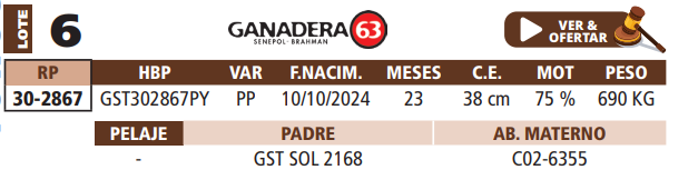 Lote LOTE 6