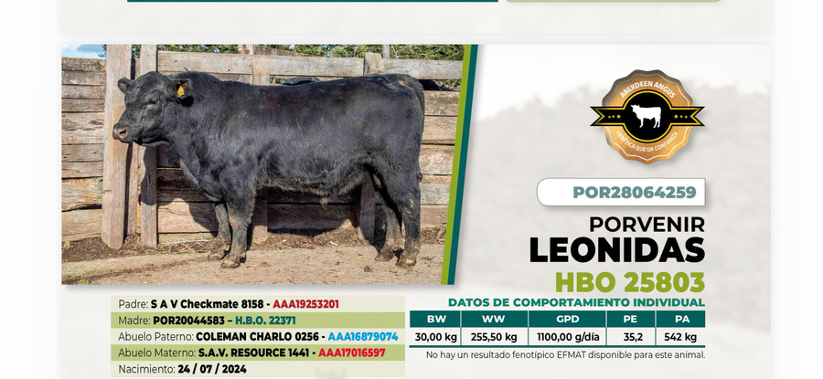 Lote 1 Toro LEONIDAS DIIO 4259