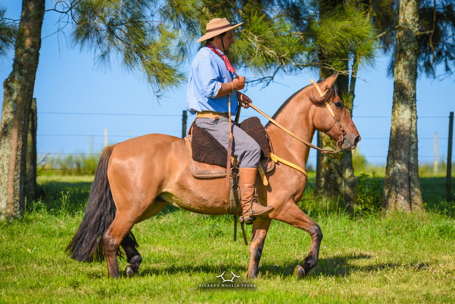 Lote El Gavilán Marco Polo (RP 424) Cabaña "El Gavilán"