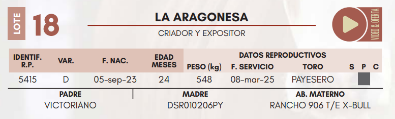 Lote LOTE 18 HEMBRAS DE CAMPO