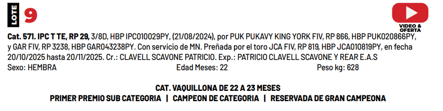 Lote LOTE 9