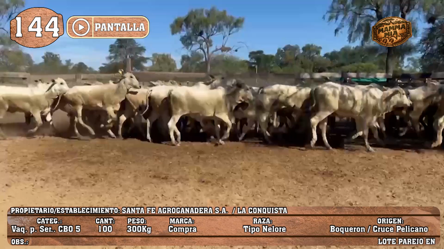Lote LOTE 144 - PANTALLA