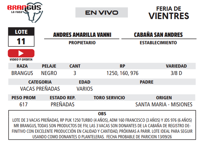 Lote LOTE 11 - EN VIVO
