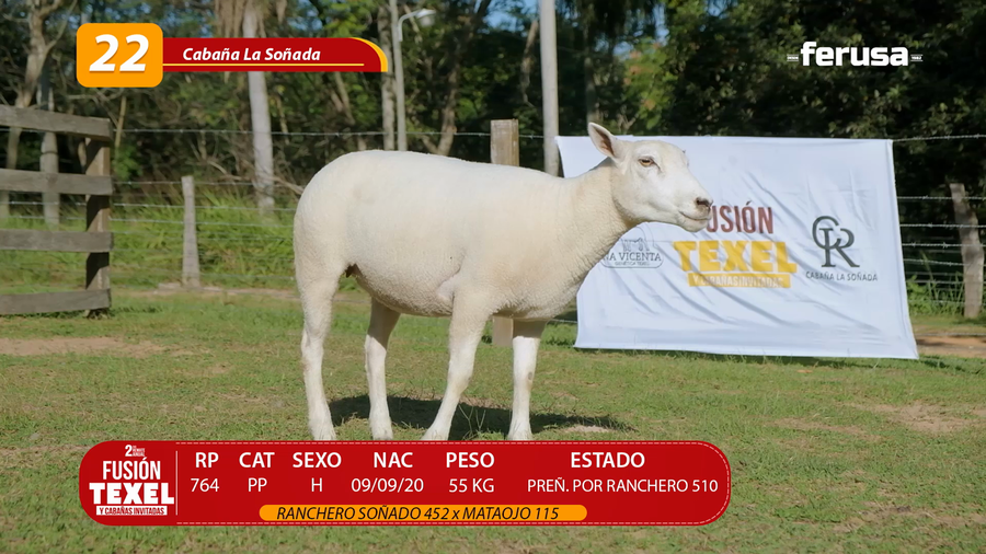 Lote LOTE 22