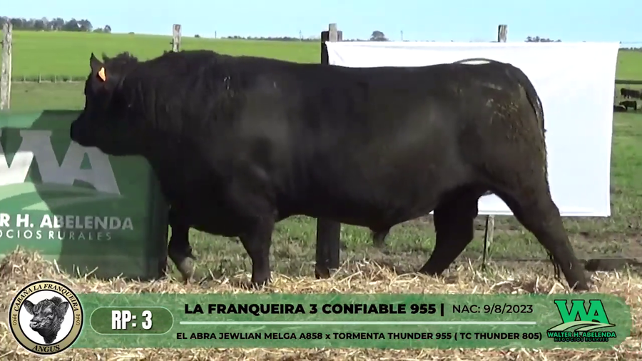 Lote LA FRANQUEIRA 3 CONFIABLE 955