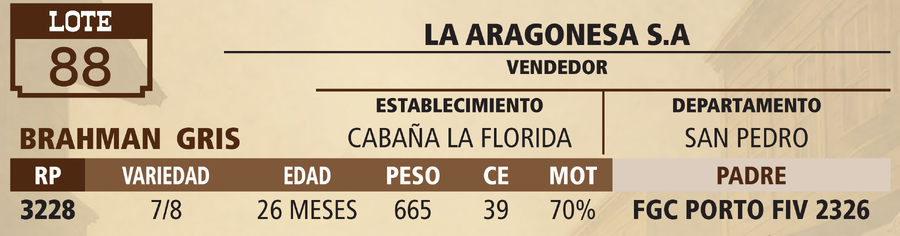 Lote LOTE 88 - VIVO