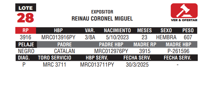 Lote LOTE 28 - CAMPO