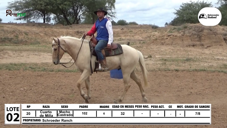 Lote Lote 2