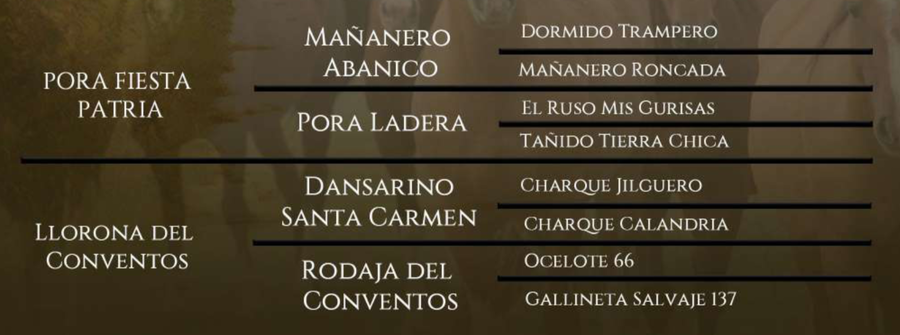 Lote Pulga Brava del Conventos