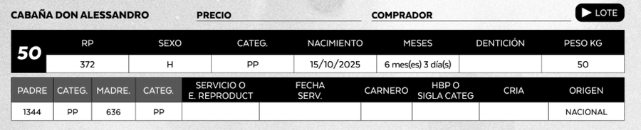 Lote LOTE 50
