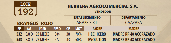 Lote LOTE 192 - VIVO
