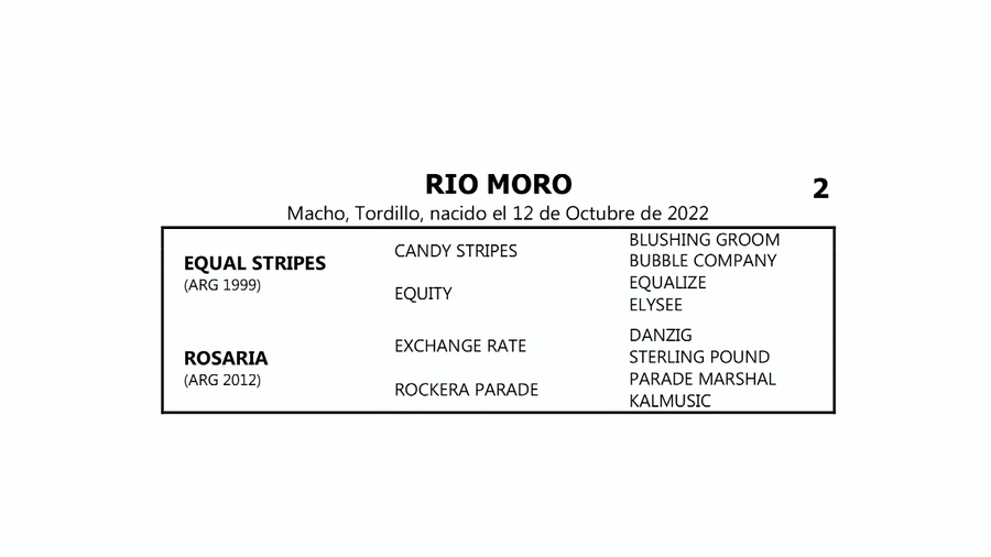 Lote RIO MORO (EQUAL STRIPES -  ROSARIA por  EXCHANGE RATE)
