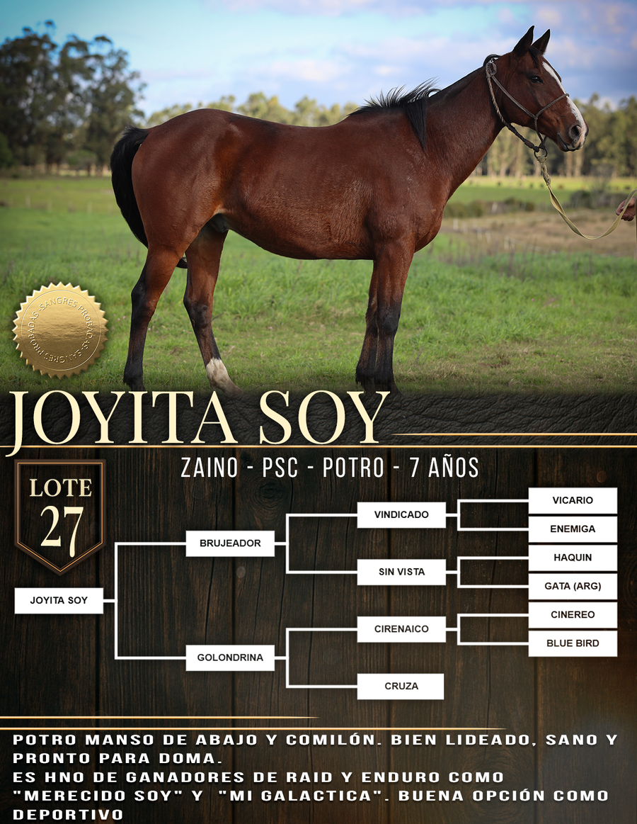 Lote JOYITA SOY