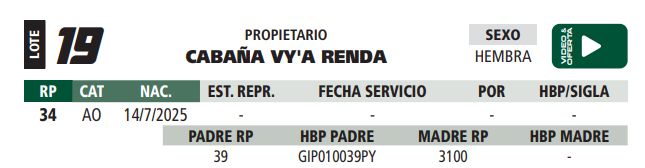 Lote LOTE 19