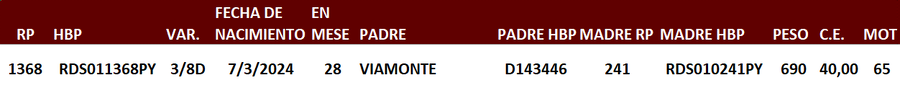 Lote LOTE 29