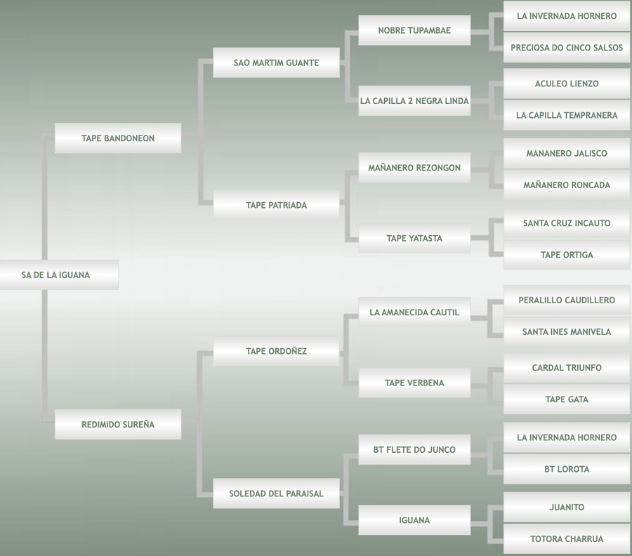 Lote SA De La Iguana
