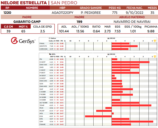 Lote LOTE 56