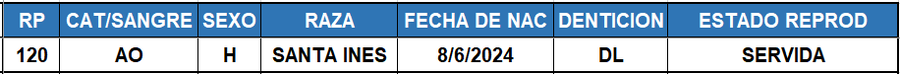 Lote LOTE 40