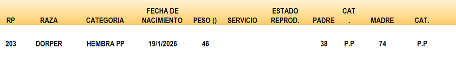 Lote LOTE 38