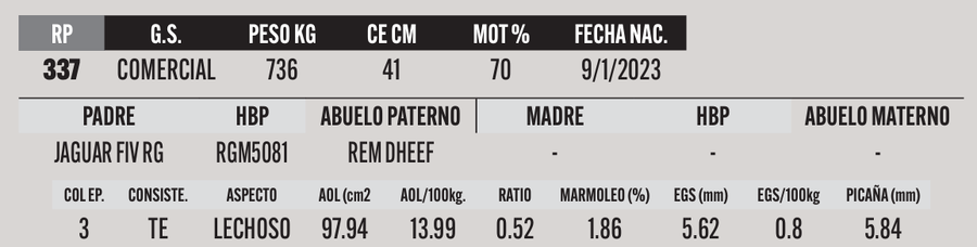 Lote LOTE 41