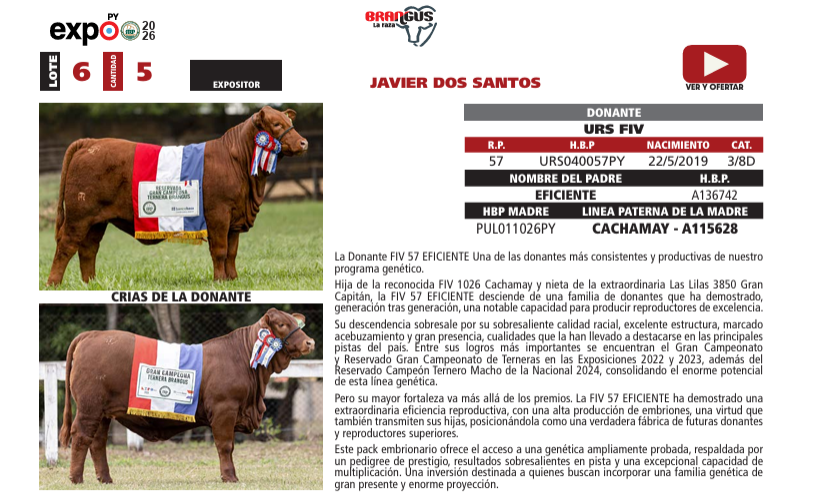 Lote LOTE 6
