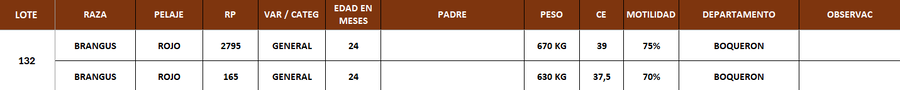 Lote LOTE 132