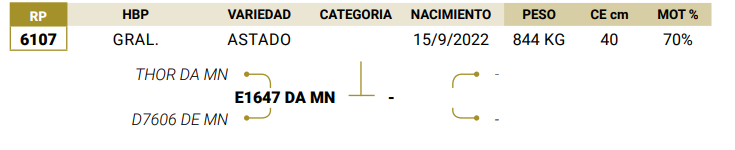 Lote LOTE 28