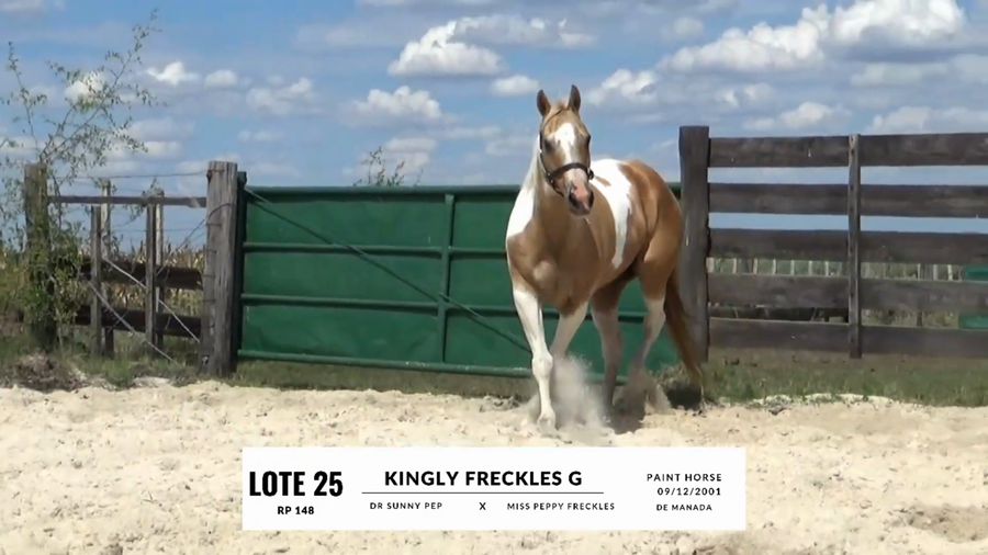 Lote KINGLY FRECKLES G