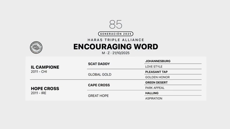 Lote ENCOURAGING WORD