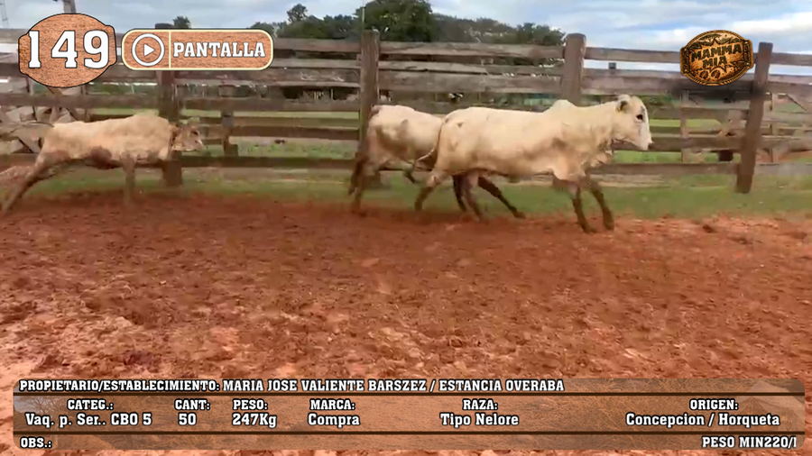 Lote LOTE 149 - PANTALLA