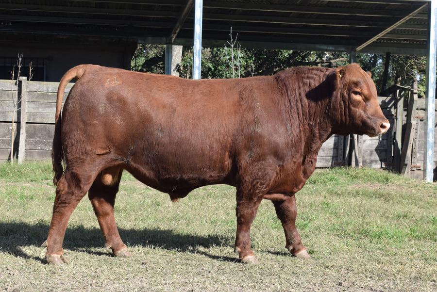 Lote CABAÑA “COEMBOTÁ” de Calderón RP 134