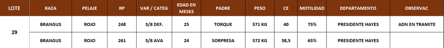 Lote LOTE 29