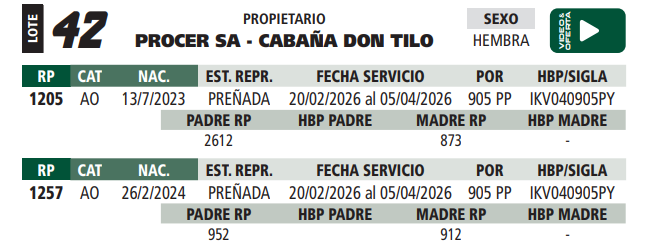 Lote LOTE 42