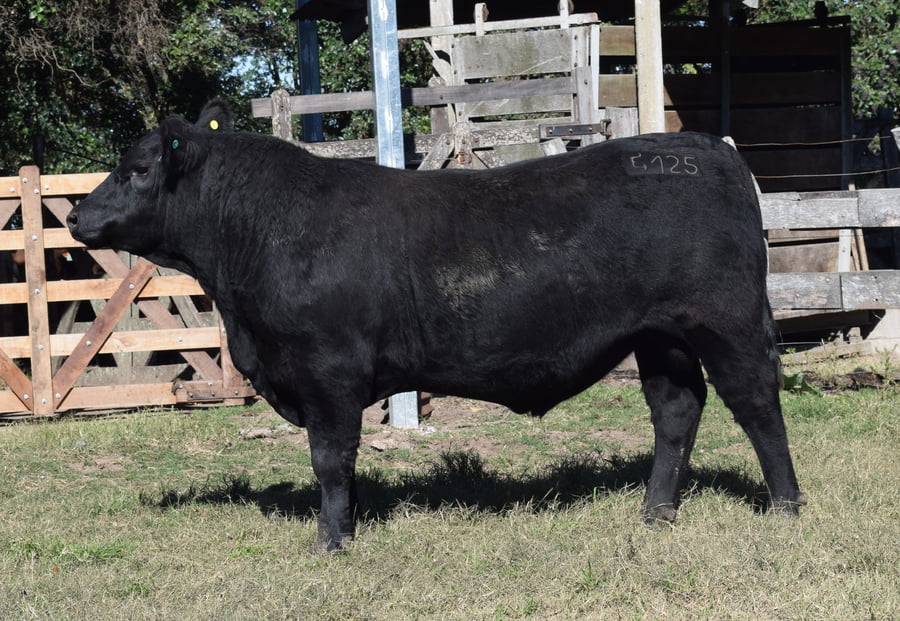 Lote CABAÑA “COEMBOTÁ” de Calderón RP 125