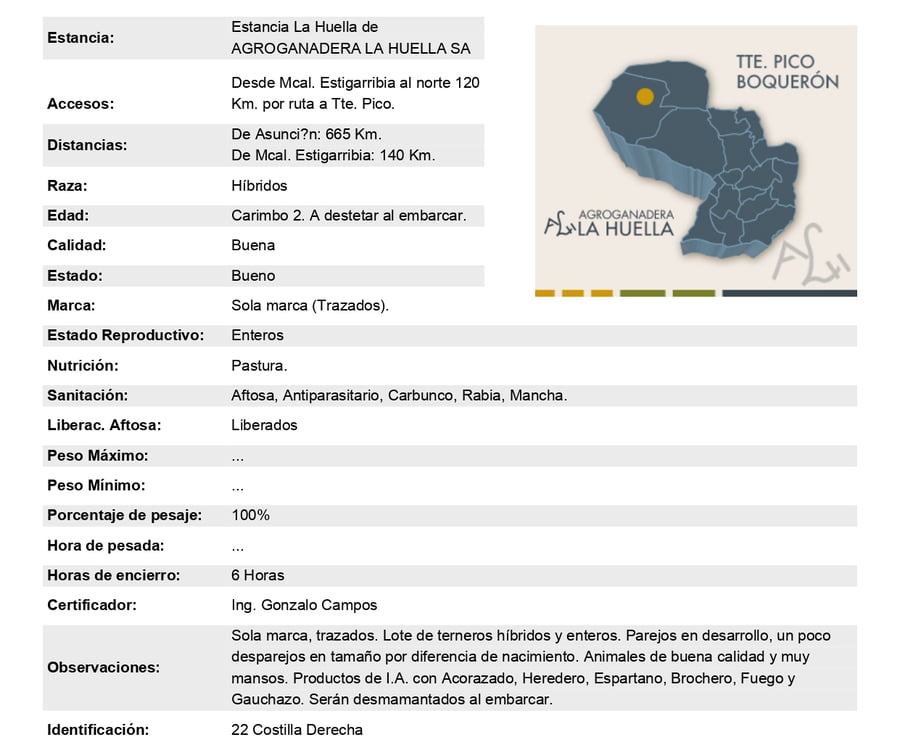 Lote Lote 19
