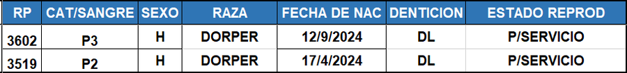 Lote LOTE 11