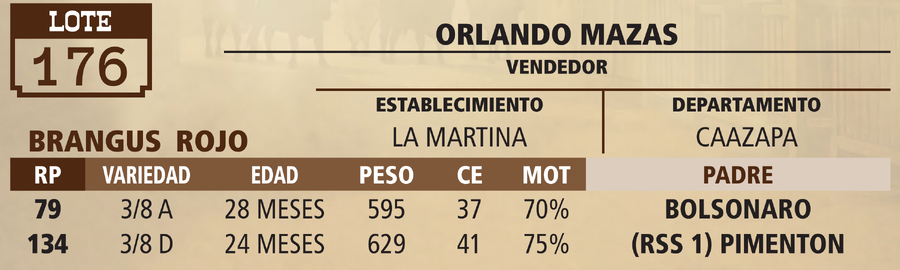Lote LOTE 176 - VIVO